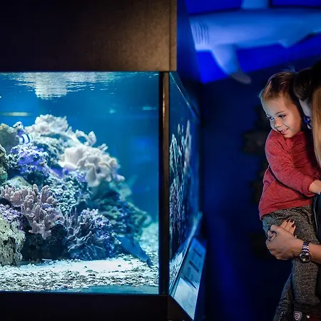 Lipno Wellness - Private Family Privat bolig Frymburk